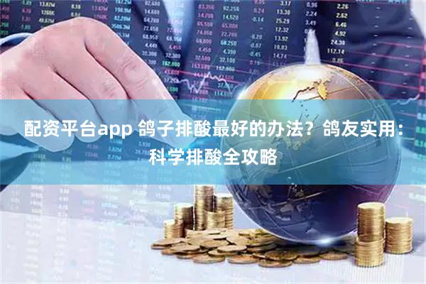 配资平台app 鸽子排酸最好的办法？鸽友实用：科学排酸全攻略