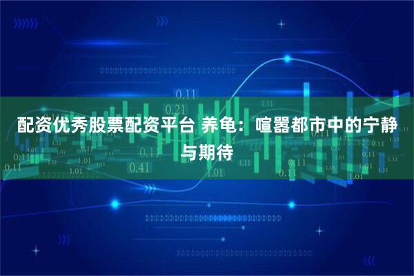 配资优秀股票配资平台 养龟：喧嚣都市中的宁静与期待